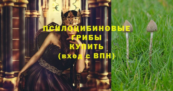 сатива Надым
