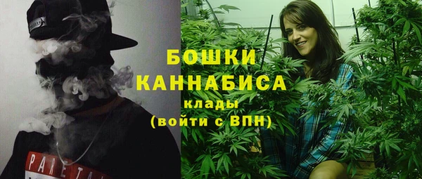 сатива Надым