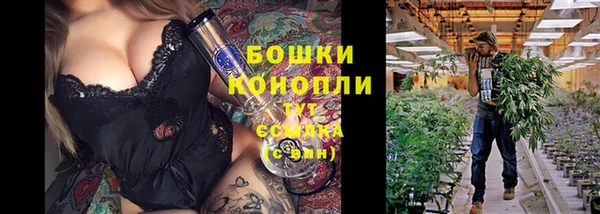 дживик Болохово