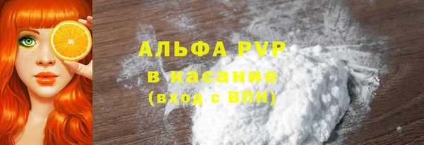 сатива Надым