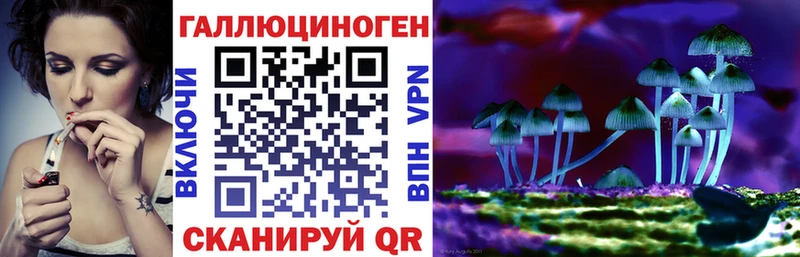 где купить наркоту Алупка Псилоцибиновые грибы мухоморы